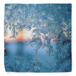 Frosted View Bandana