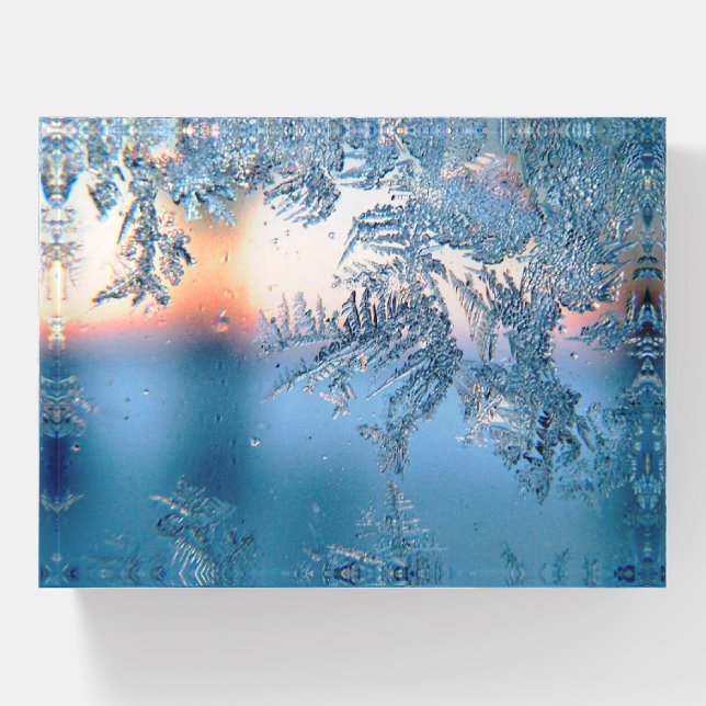 Frosted View Paperweight (Front)