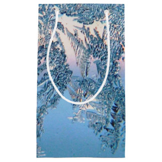 Frosted View Small Gift Bag