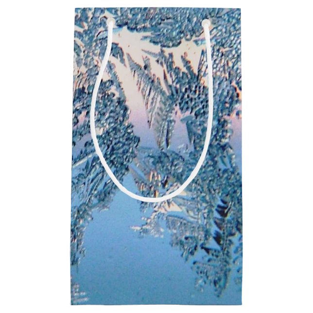 Frosted View Small Gift Bag (Front)