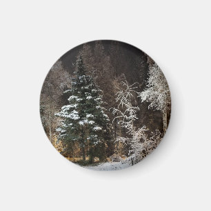 Frosted Winter Forest Aesthetic Magnet