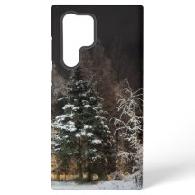 Frosted Winter Forest Aesthetic
