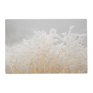 Frosted Winter Grasses Placemat