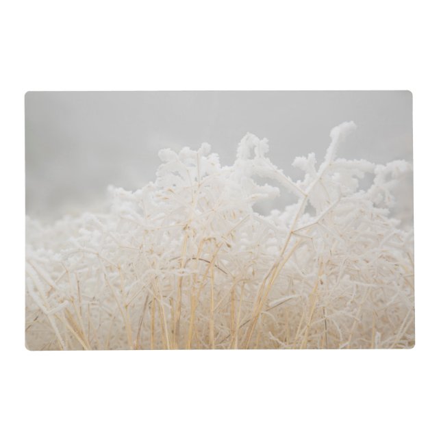 Frosted Winter Grasses Placemat (Front)