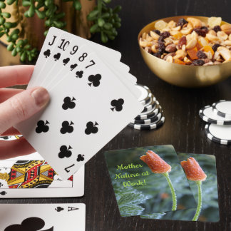 Frosty California Poppy Flower Bud Nature Photo Poker Cards
