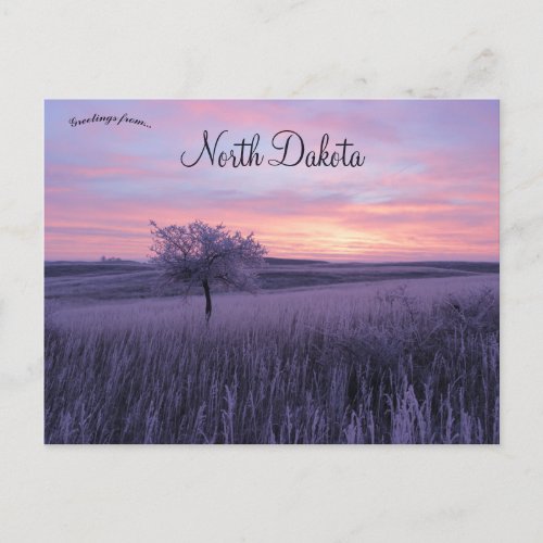 Frosty Erlenbusch Sunrise North Dakota Postcard