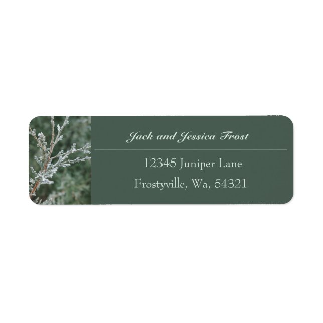 Frosty Evergreen Branch Return Address Label (Front)