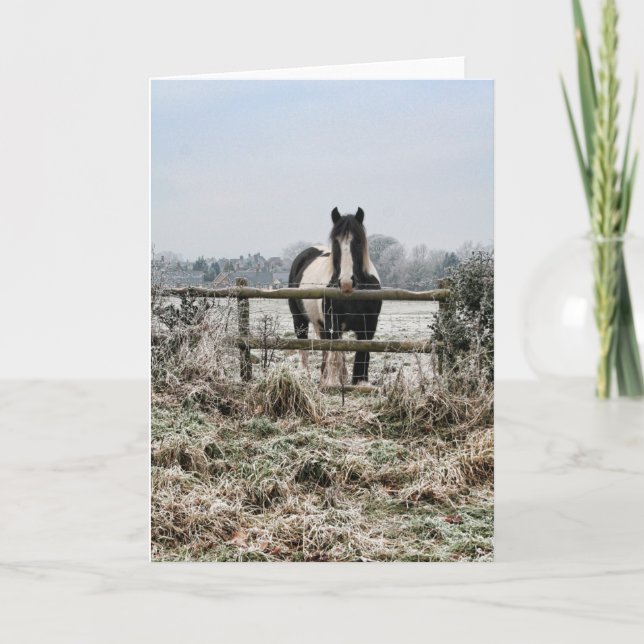 Frosty Field Holiday Card (Front)