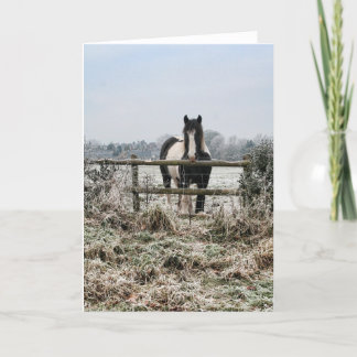 Frosty Field Holiday Card