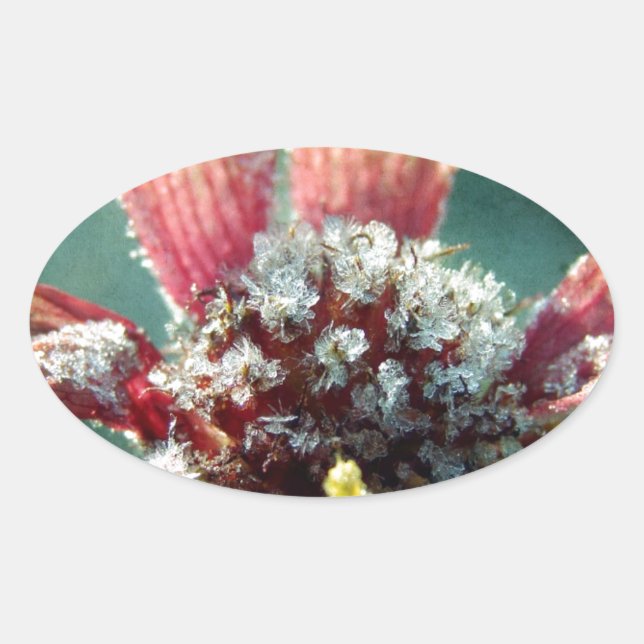 Frosty Flower Oval Sticker (Front)
