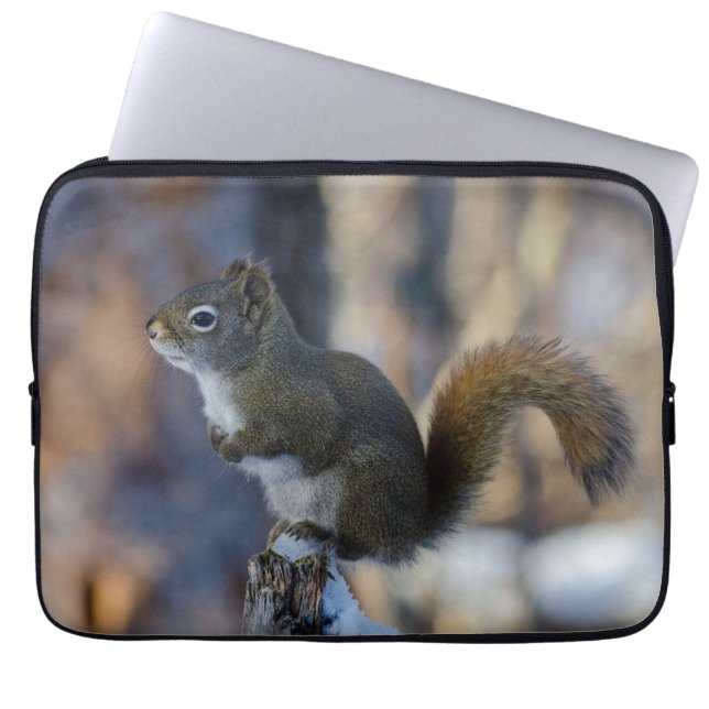 Frosty Forager: Canadian Winter Squirrel Laptop Sleeve (Front)