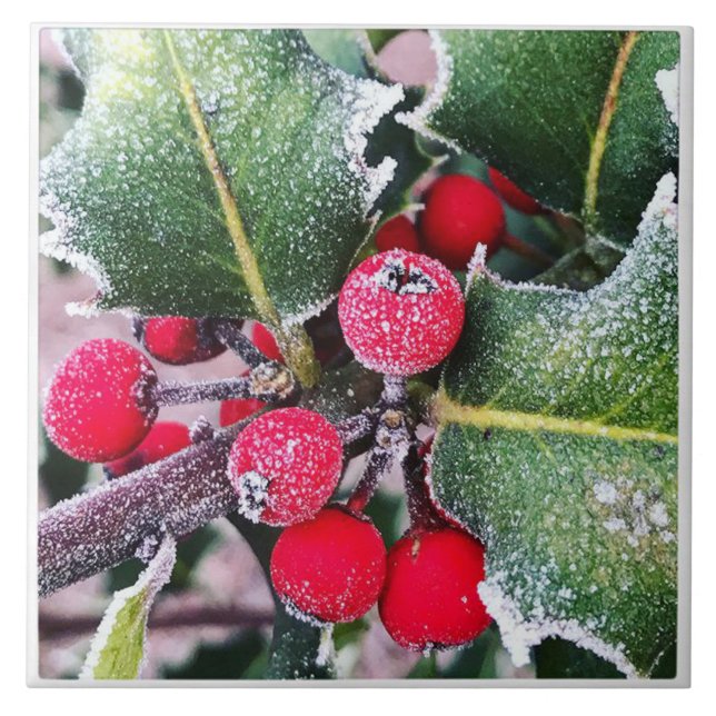 Frosty Holly Ceramic Tile (Front)