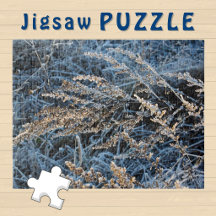 Frosty Ice covert Winter Grass aesthetic Photo
