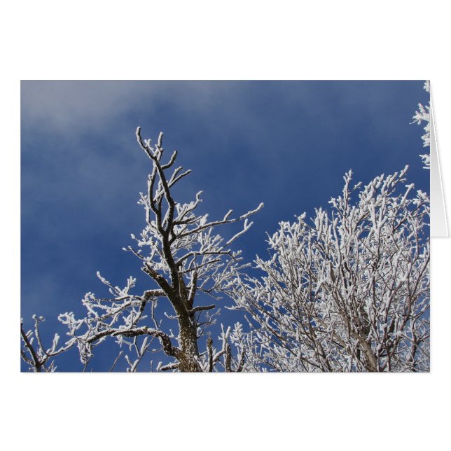 Frosty Iowa Afternoon Cards (Front Horizontal)