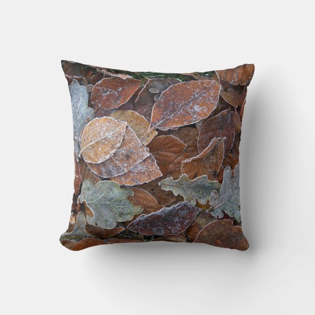 Frosty leaves cushion (Front)