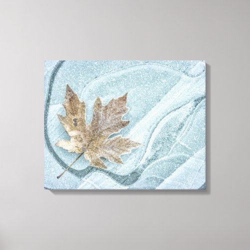 Frosty Maple Leaf Frozen on Ice Canvas Print