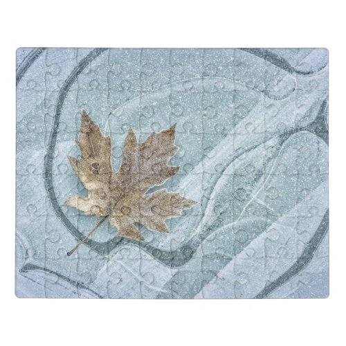 Frosty Maple Leaf Frozen on Ice Jigsaw Puzzle