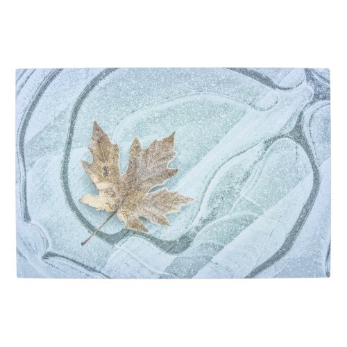 Frosty Maple Leaf Frozen on Ice Metal Print