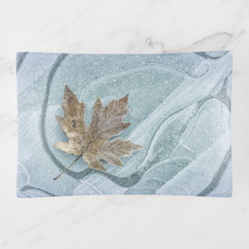 Frosty Maple Leaf Frozen on Ice Trinket Tray