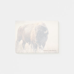 Frosty Morning - 3" x 4" Post-it Notes