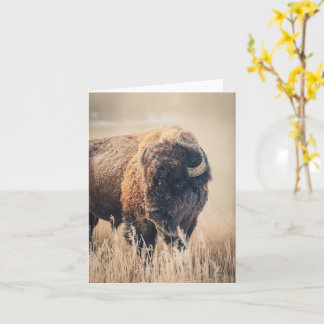 Frosty Morning - 4" x 5.6" Notecard