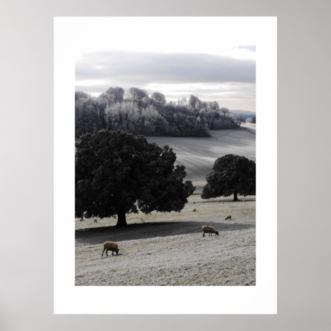 Frosty morning poster (Front)