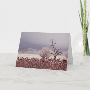 Frosty Morning View - Antelope Island - Utah Card