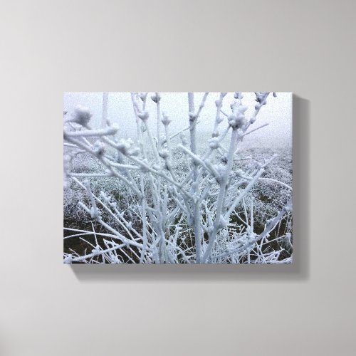 Frosty Plants Winter Landscape Canvas Print