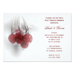 Frosty Red Berries Winter Post Wedding Brunch 5x7 Paper Invitation Card