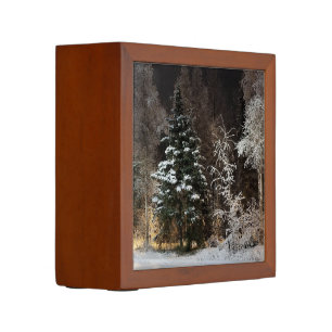 Frosty Serene Night Forest Desk Organizer