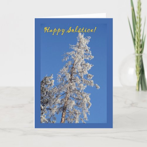 Frosty Spruce  Happy Solstice Holiday Card
