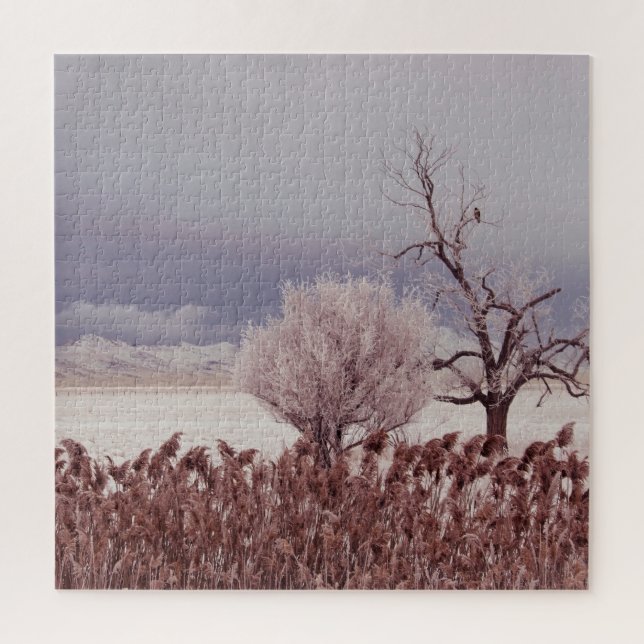 Frosty Utah Mountain Morning - 20x20 - 676 pc Jigsaw Puzzle (Vertical)