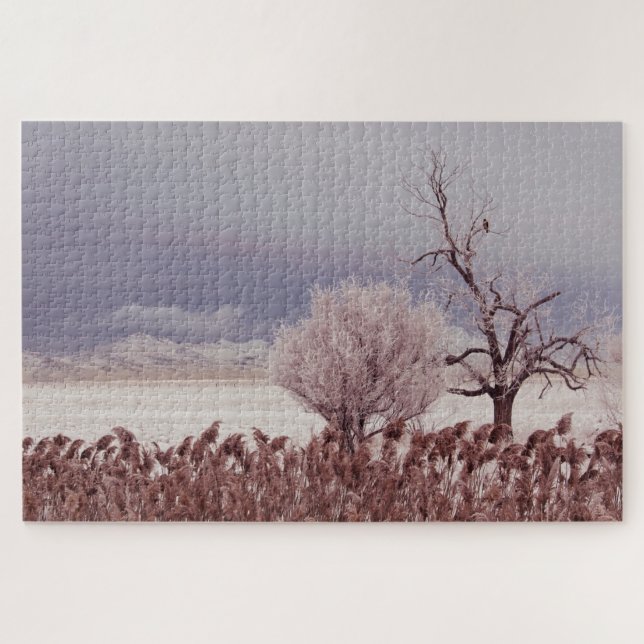 Frosty Utah Mountain Morning - 20x30 - 1014 pc Jigsaw Puzzle (Horizontal)