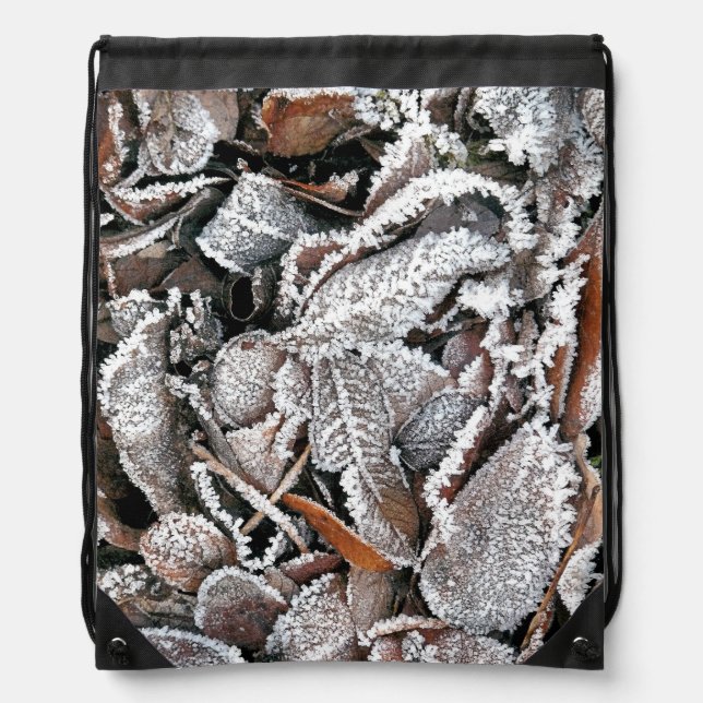 FROSTY WINTER LEAVES DRAWSTRING BAG (Front)
