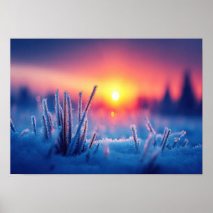 Frosty Winter Meadow at Sunrise Poster