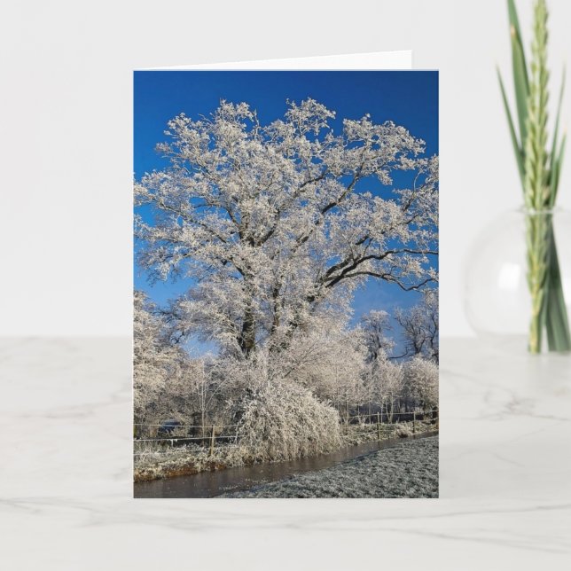 Frosty winter scene, England Holiday Card (Front)