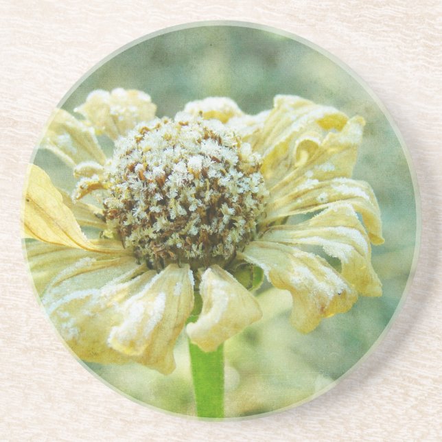 Frosty Zinna Coaster (Front)