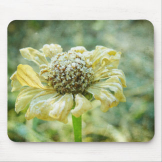 Frosty Zinna Mouse Pad