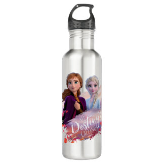 Frozen 2: Anna & Elsa | My Destiny's Calling Stainless Steel Water Bottle