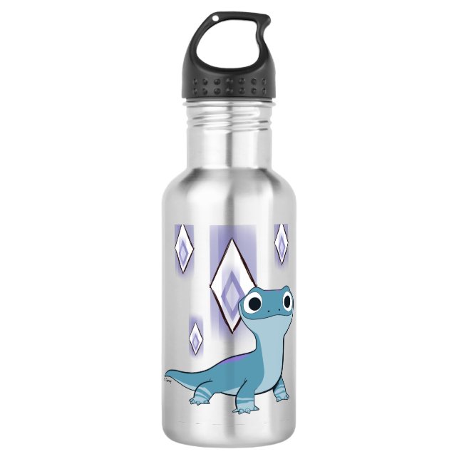 Frozen 2 | Bruni & Fire Elements Stainless Steel Water Bottle (Front)