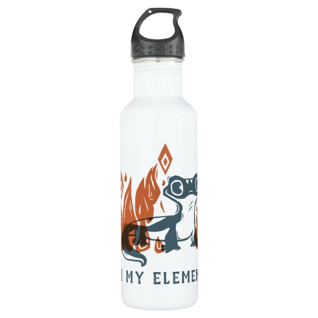 Frozen 2 | Bruni - In My Element Stainless Steel Water Bottle (Front)