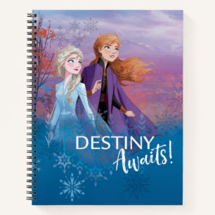 Frozen 2: Elsa & Anna   Destiny Awaits! Notebook