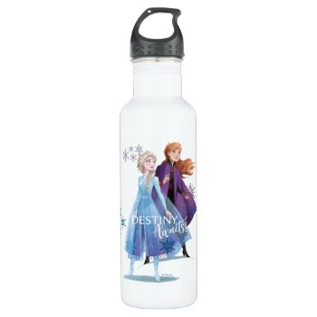 Frozen 2: Elsa & Anna | Destiny Awaits! Stainless Steel Water Bottle by frozen at Zazzle