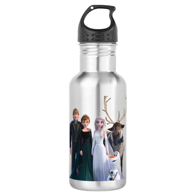 Frozen 2 | Group Pose Stainless Steel Water Bottle (Front)