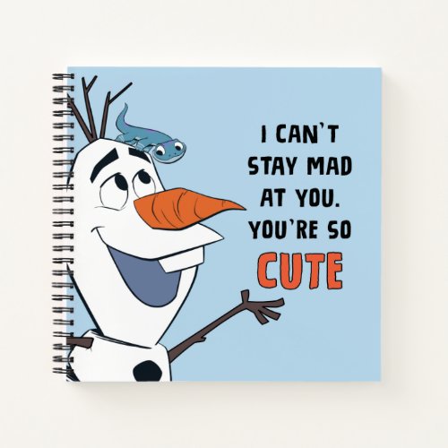 Frozen 2  Olaf  Bruni I Cant Stay Mad At You Notebook
