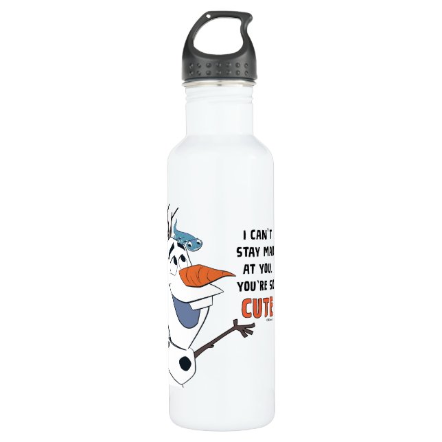 Frozen 2 | Olaf & Bruni "I Can't Stay Mad At You" Stainless Steel Water Bottle (Front)
