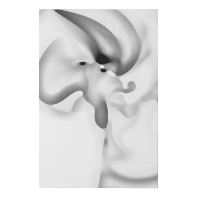 Frozen: Abstract Gray, White & Black Faux Canvas Print (Front)