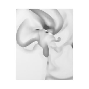 Frozen: Abstract Gray, White & Black Gallery Wrap