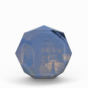 Frozen  award