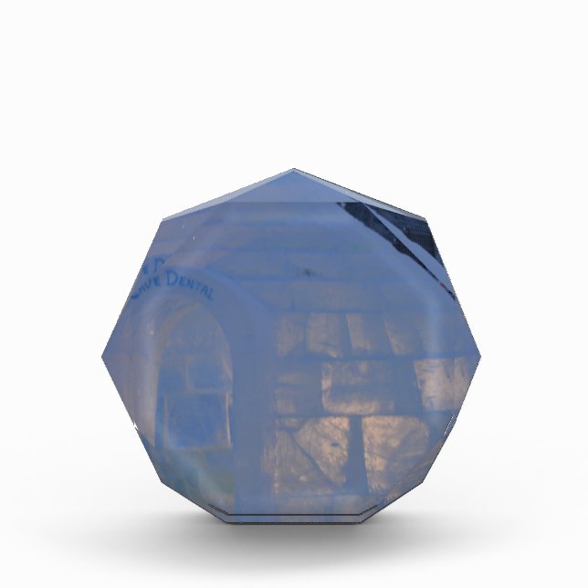 Frozen  award (Front)